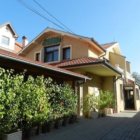 Guesthouse Ellite Požarevac エクステリア 写真